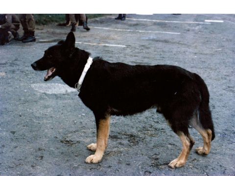 Foto 14